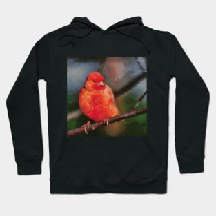 The Red Canary Bird Hoodie